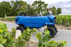 Robot enjambeur viticole dans les vignes