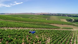 Bakus, drone view at Chablis