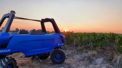 Robot viticole pour vignes semi-larges